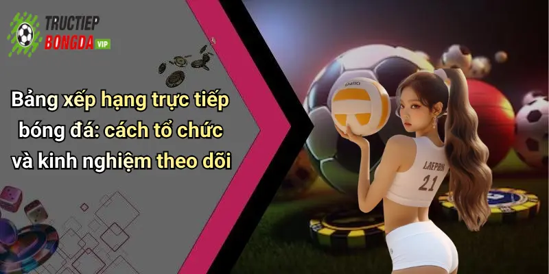Bảng xếp hạng trực tiếp bóng đá: cách tổ chức và kinh nghiệm theo dõi
