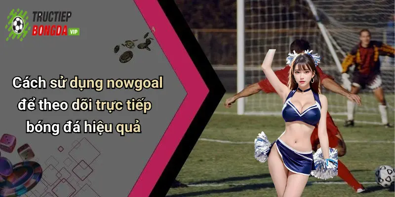 Cách sử dụng nowgoal để theo dõi trực tiếp bóng đá hiệu quả