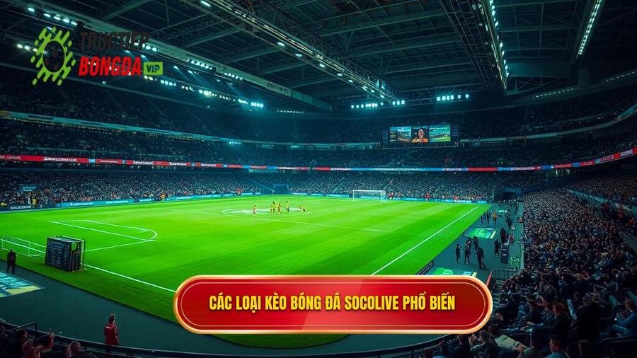 Các loại kèo bóng đá Socolive phổ biến nhất hiện nay