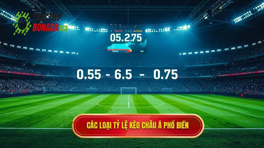 2. Các loại tỷ lệ phổ biến trong Kèo bóng đá Châu Á
