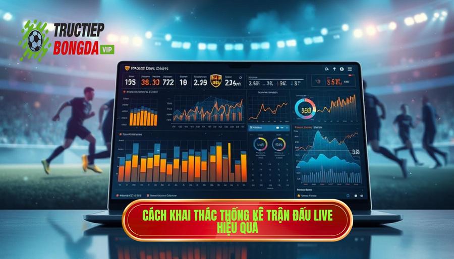 Cách khai thác thống kê trận đấu live hiệu quả tại blacksheepguides.com