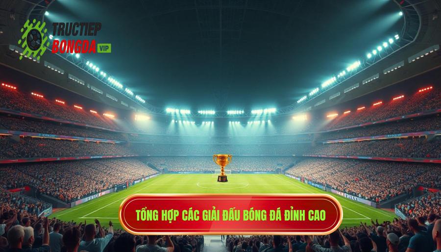 Các giải đấu hàng đầu không thể bỏ lỡ