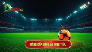 Bóng Đá Trực Tiếp – Cảm Xúc Thật Nhất: Hành Trình Chinh Phục Trái Tim Người Hâm Mộ