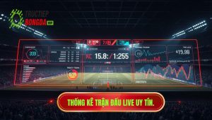 Thống kê trận đấu live: Nghệ thuật đọc vị trận đấu và làm chủ cuộc chơi